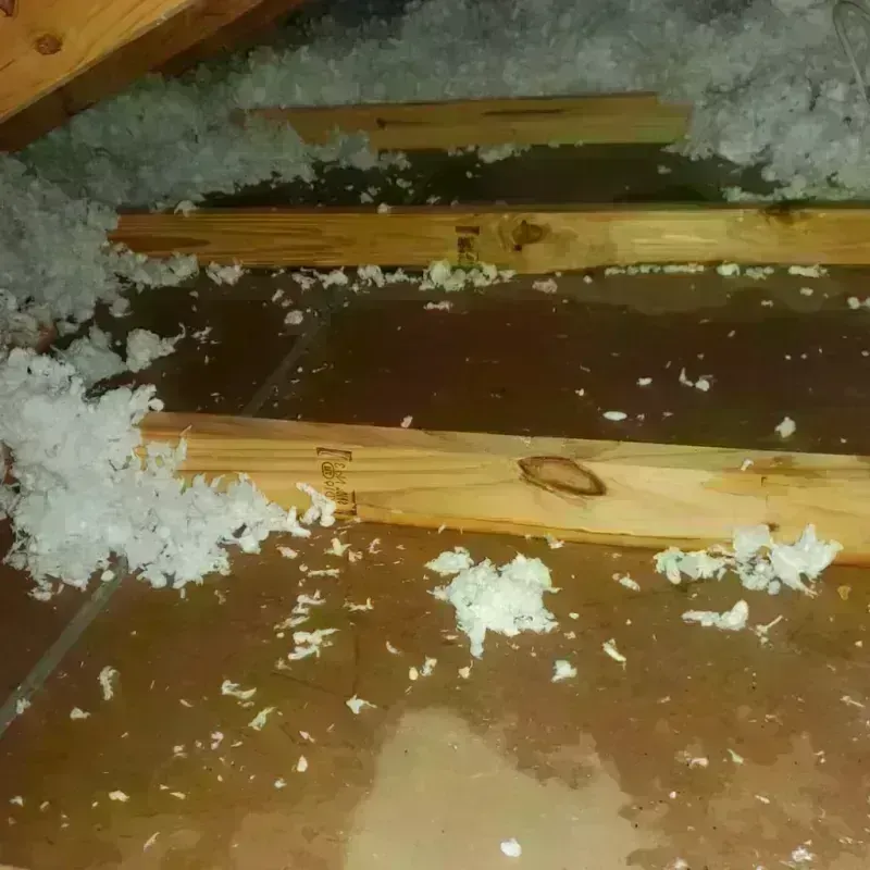 Attic Water Damage in Morrill County, NE